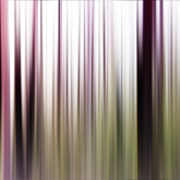 Waldspaziergang - abstrakt