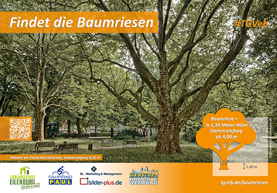 Plakat: Findet den Baumriesen