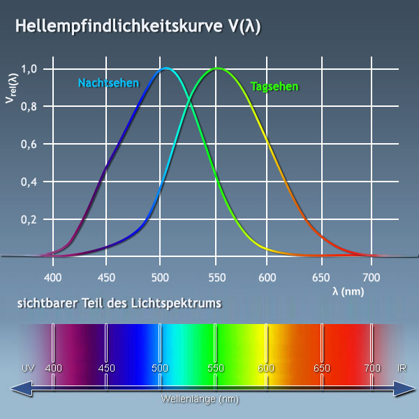 Spektrum des sichtbaren Lichtes