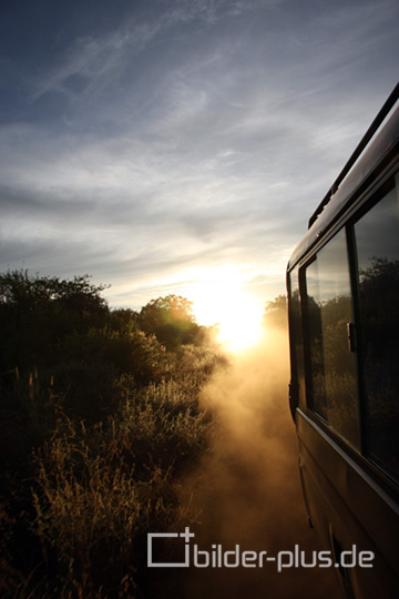 Sonnenaufgang auf Safarie