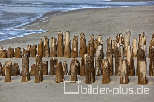 Buhnen auf Sylt