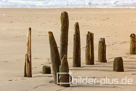 Buhnen auf Sylt II