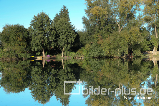 Spiegelung im Herbst