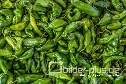 Grüner Chili