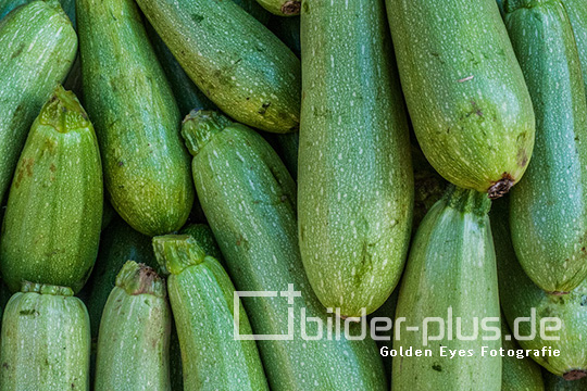 Zucchini