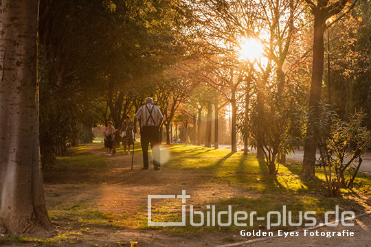 Spaziergang im Park