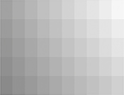 50 Shades of Grey Light