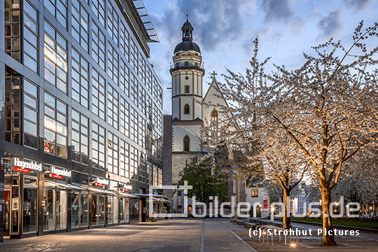 Blick auf die Thomaskirche